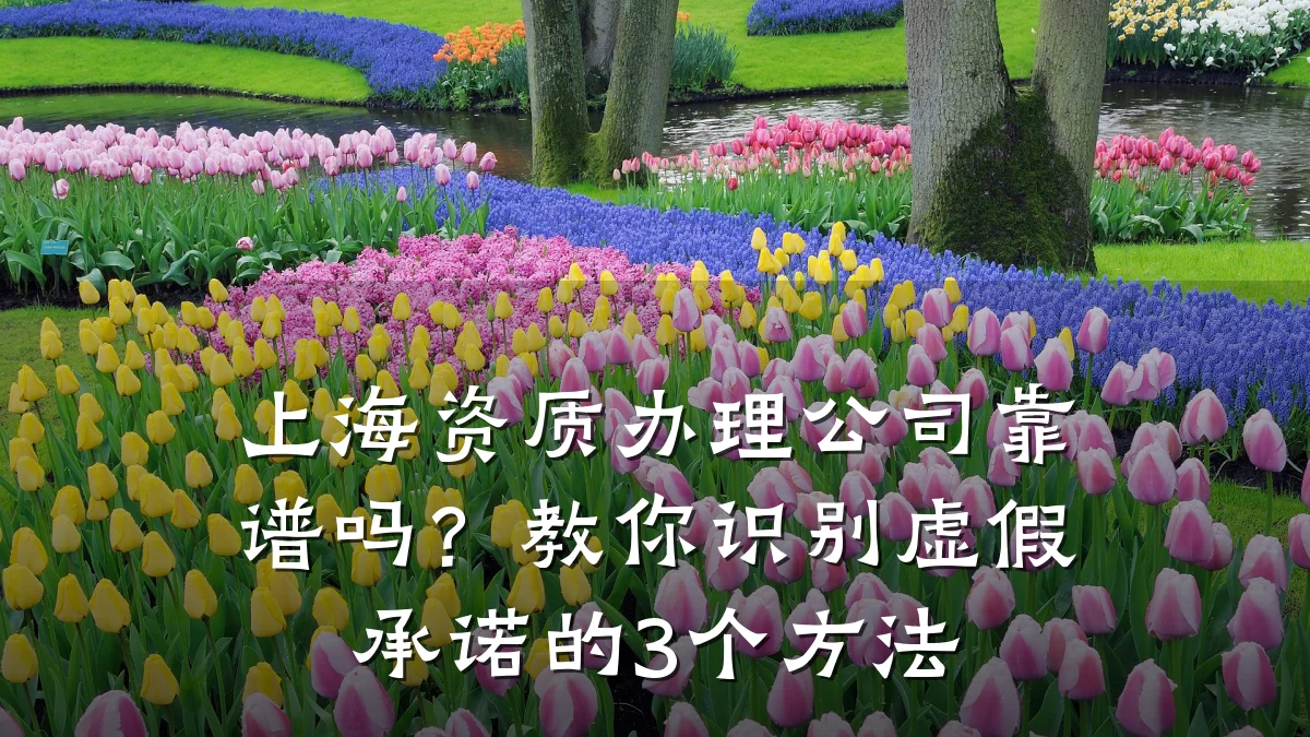 上海资质办理公司靠谱吗？教你识别虚假承诺的3个方法
