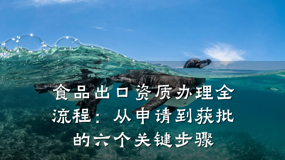 食品出口资质办理全流程：从申请到获批的六个关键步骤