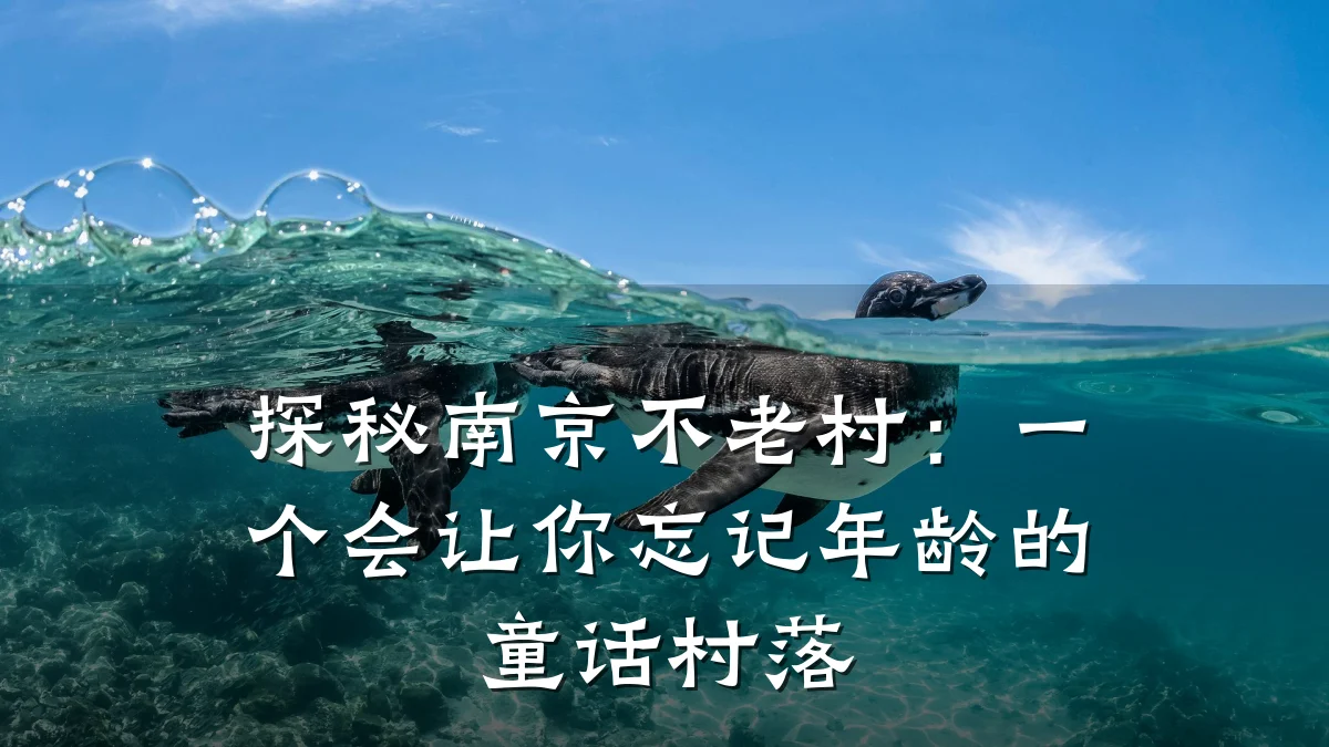 探秘南京不老村:一个会让你忘记年龄的童话村落