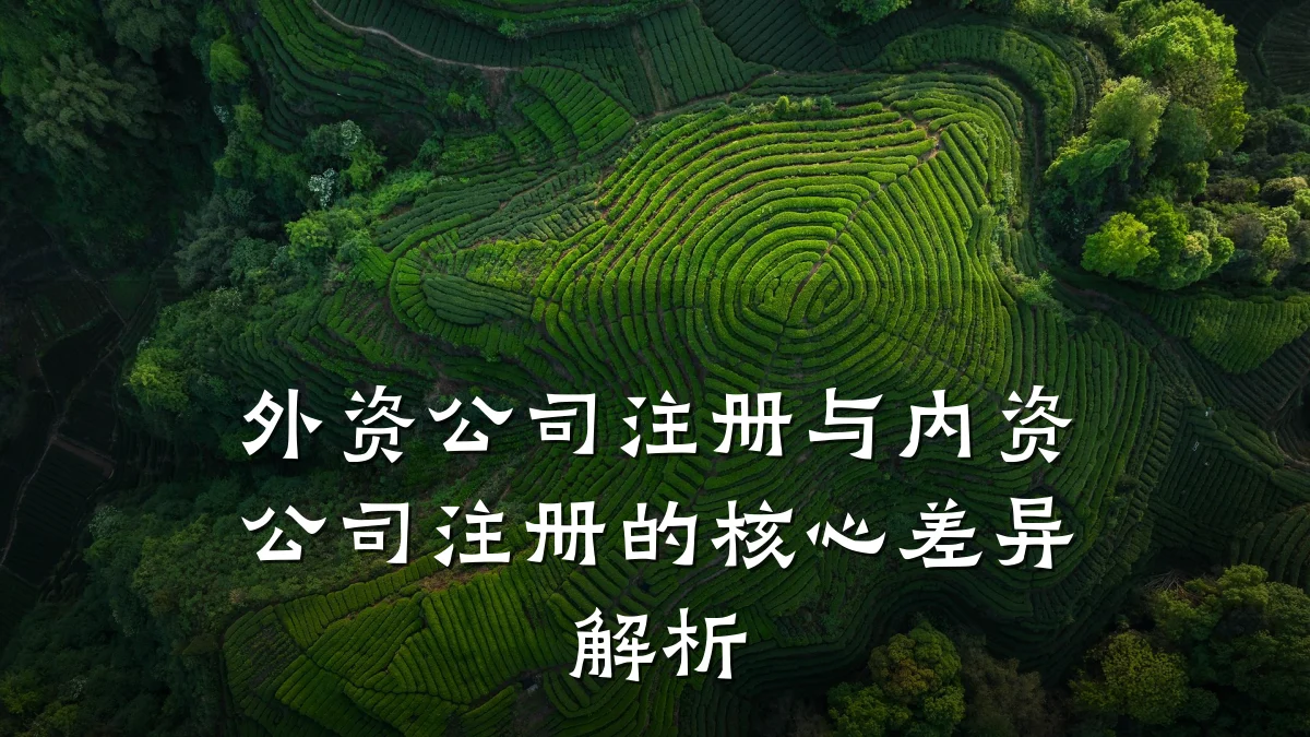 外资公司注册与内资公司注册的核心差异解析