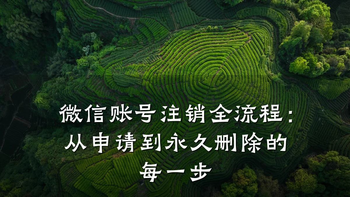 微信账号注销全流程：从申请到永久删除的每一步