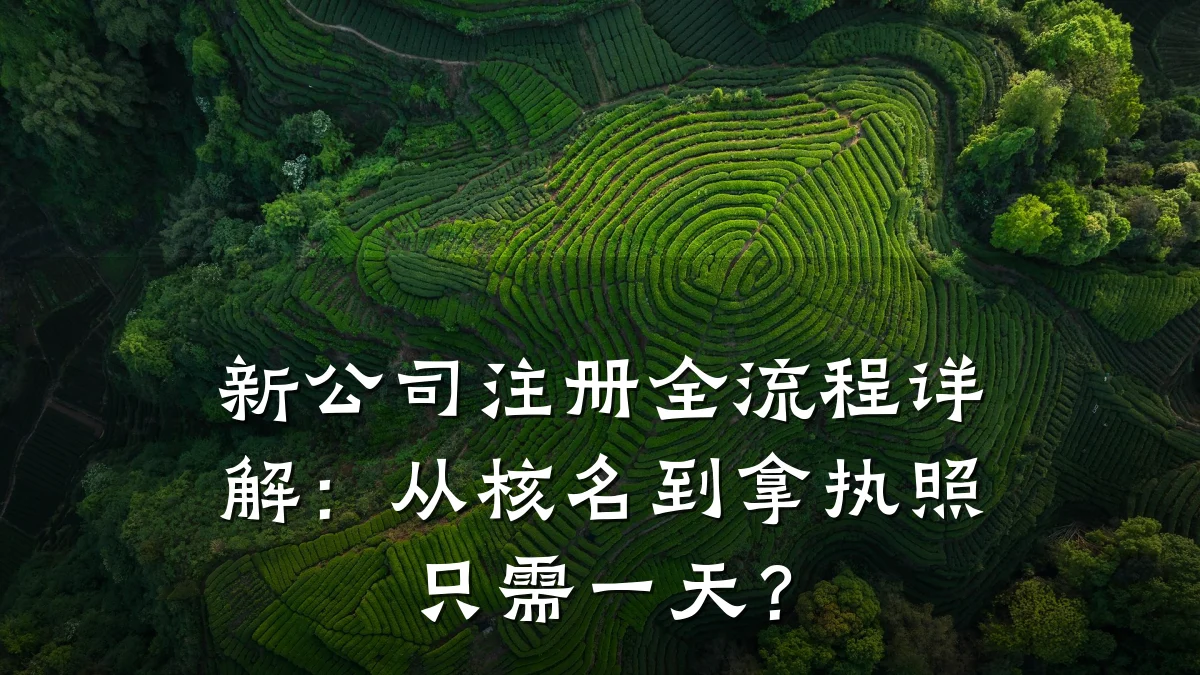 新公司注册全流程详解：从核名到拿执照只需一天？