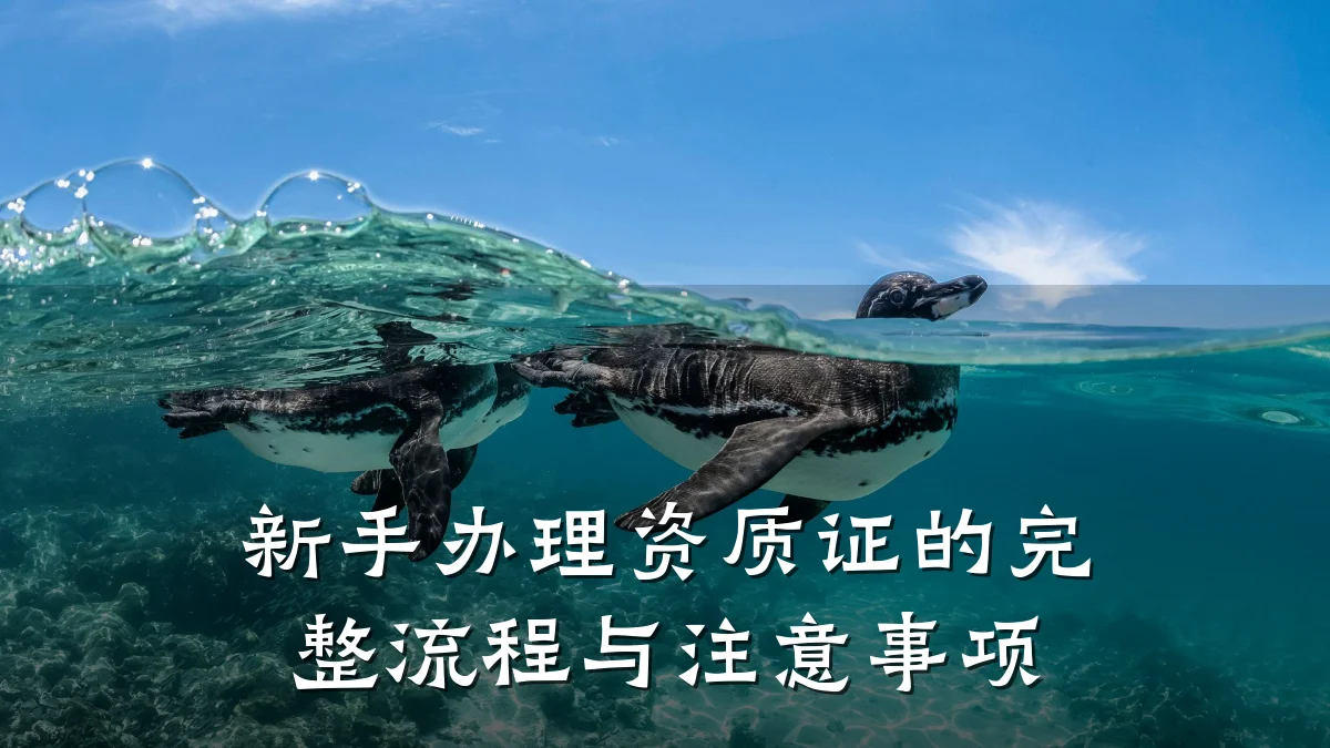 新手办理资质证的完整流程与注意事项
