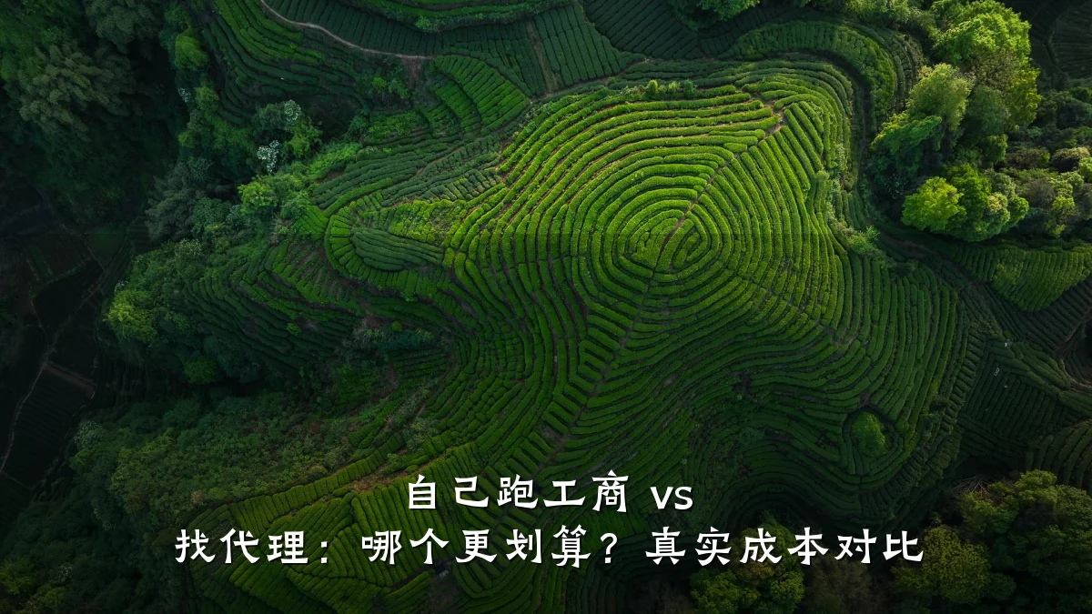 自己跑工商 vs 找代理：哪个更划算？真实成本对比