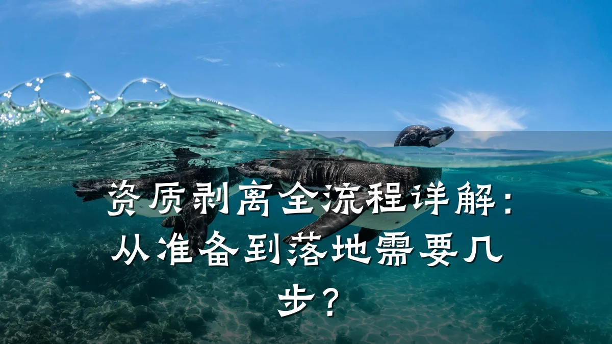 资质剥离全流程详解：从准备到落地需要几步？