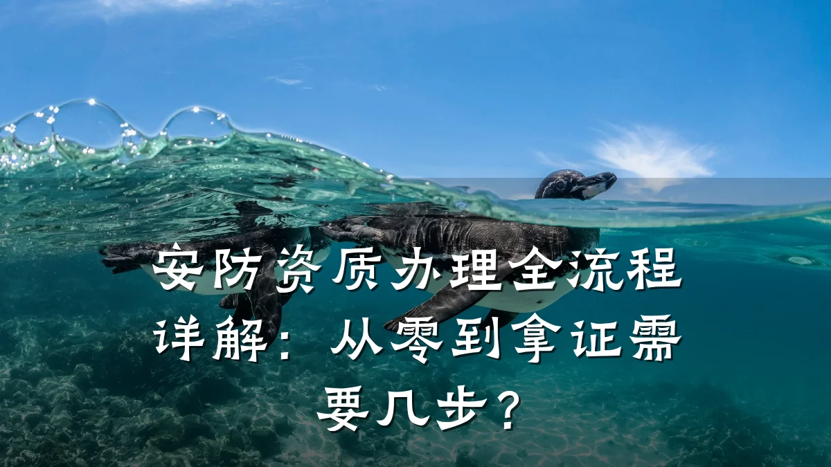 安防资质办理全流程详解：从零到拿证需要几步？
