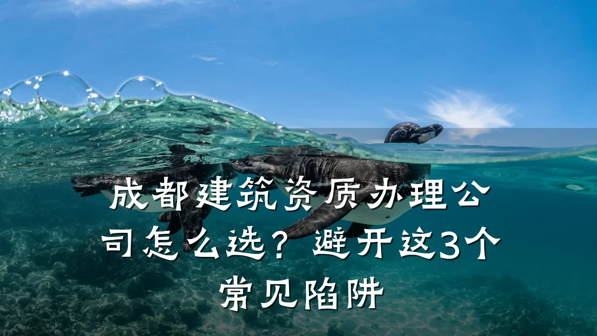成都建筑资质办理公司怎么选？避开这3个常见陷阱