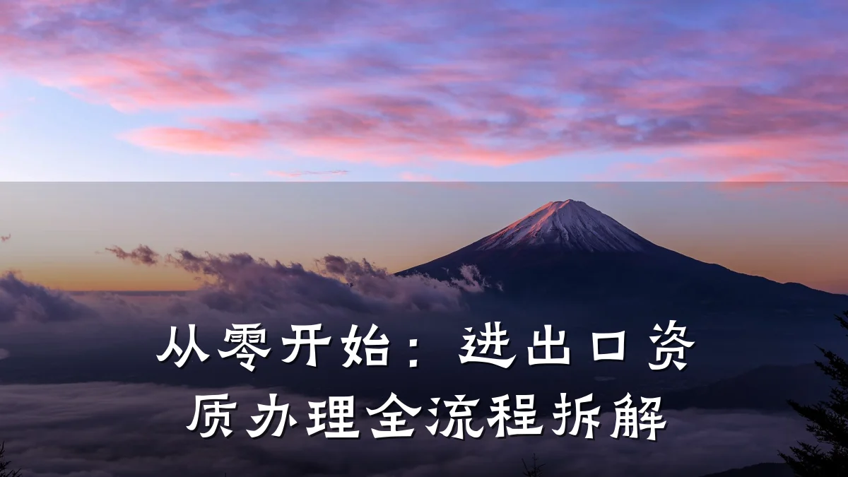 从零开始：进出口资质办理全流程拆解