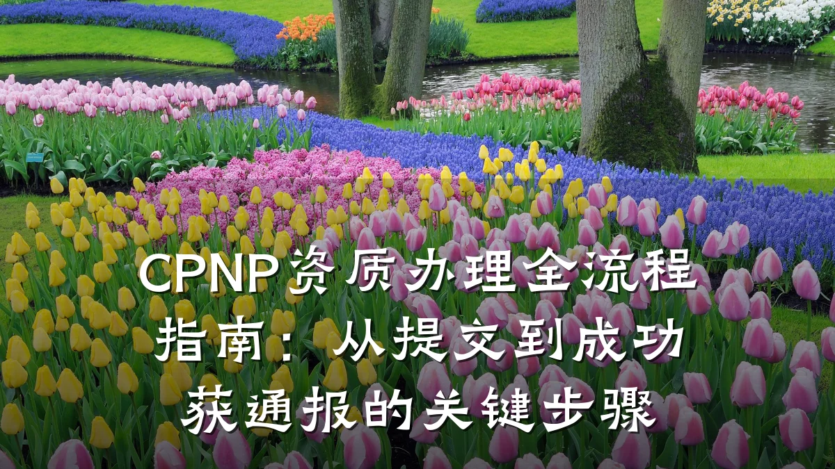 CPNP资质办理全流程指南：从提交到成功获通报的关键步骤