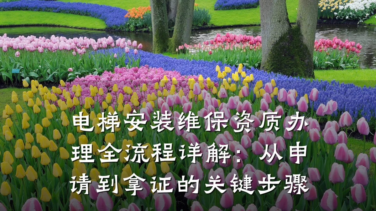 电梯安装维保资质办理全流程详解：从申请到拿证的关键步骤