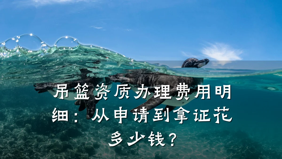 吊篮资质办理费用明细：从申请到拿证花多少钱？