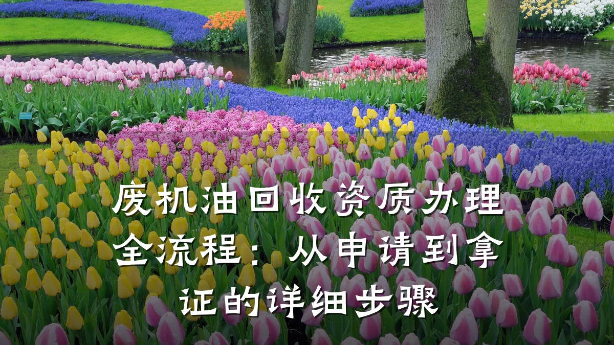 废机油回收资质办理全流程：从申请到拿证的详细步骤