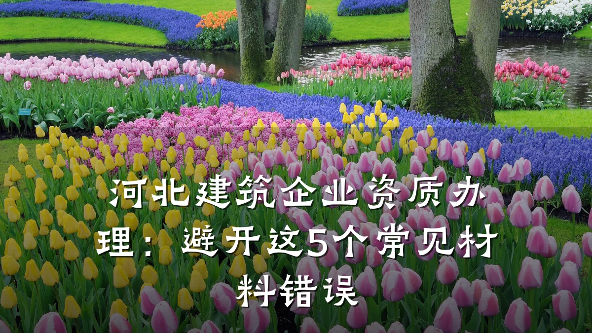 河北建筑企业资质办理：避开这5个常见材料错误