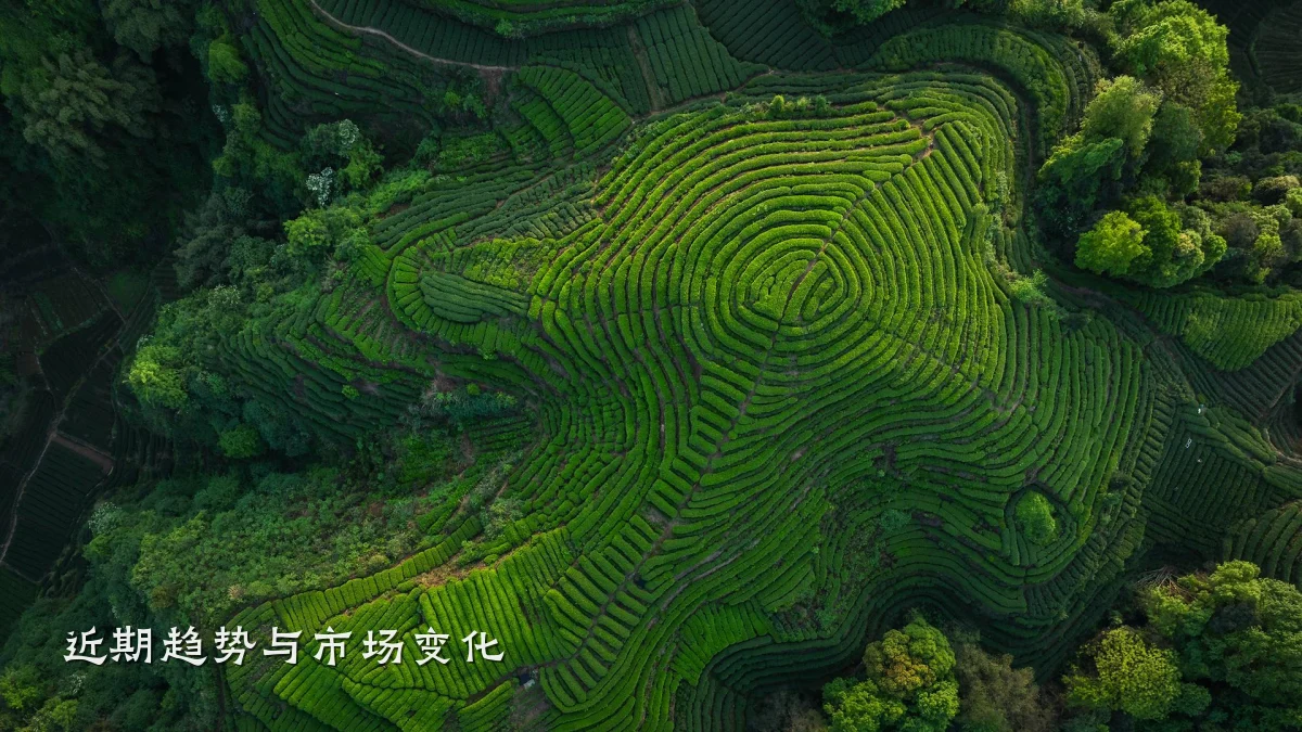 近期趋势与市场变化
