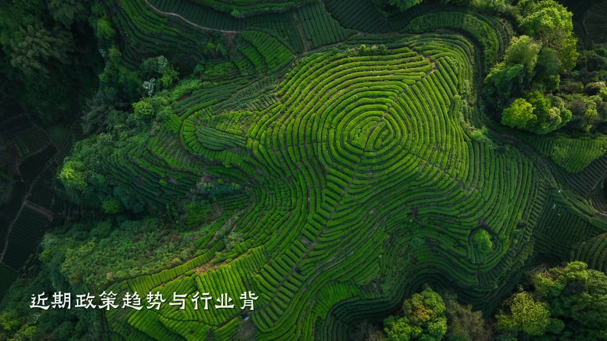 近期政策趋势与行业背