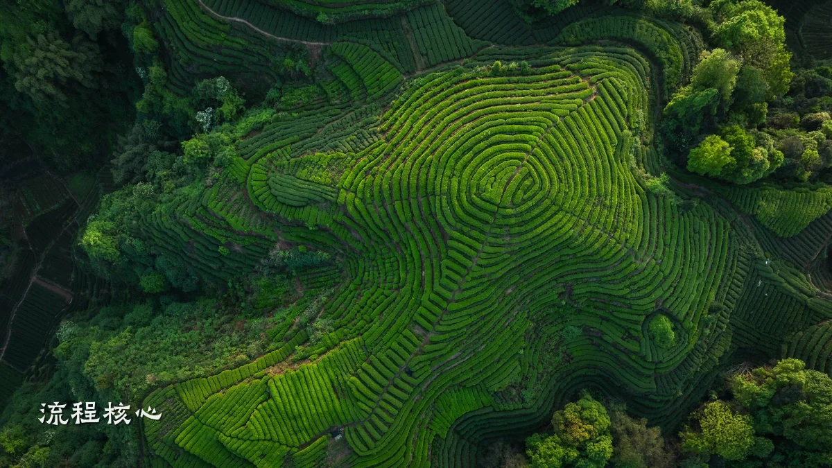 流程核心