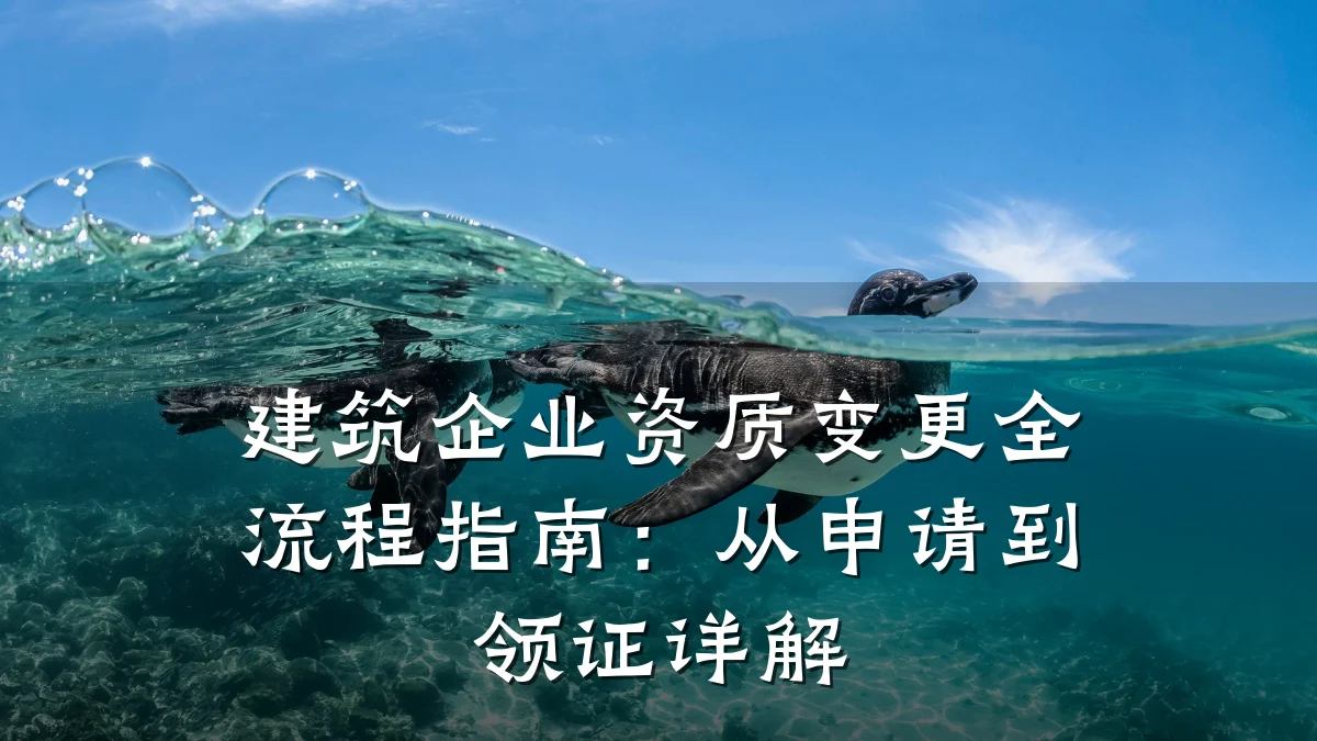 建筑企业资质变更全流程指南：从申请到领证详解