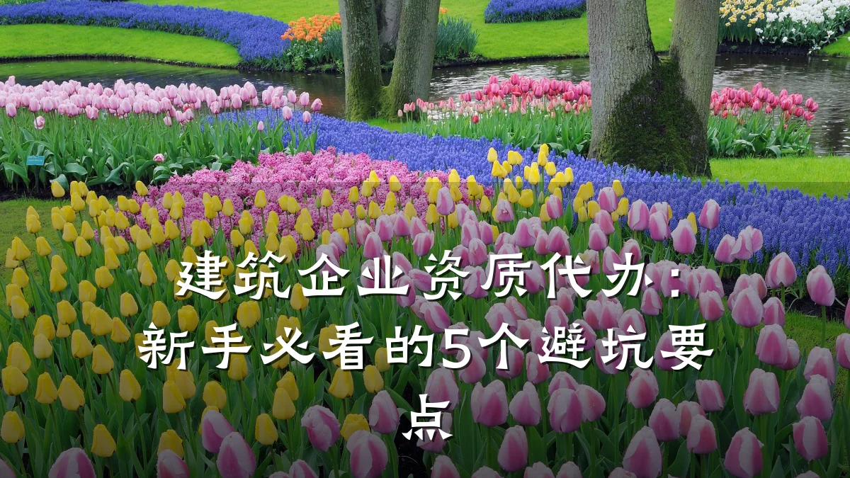 建筑企业资质代办：新手必看的5个避坑要点