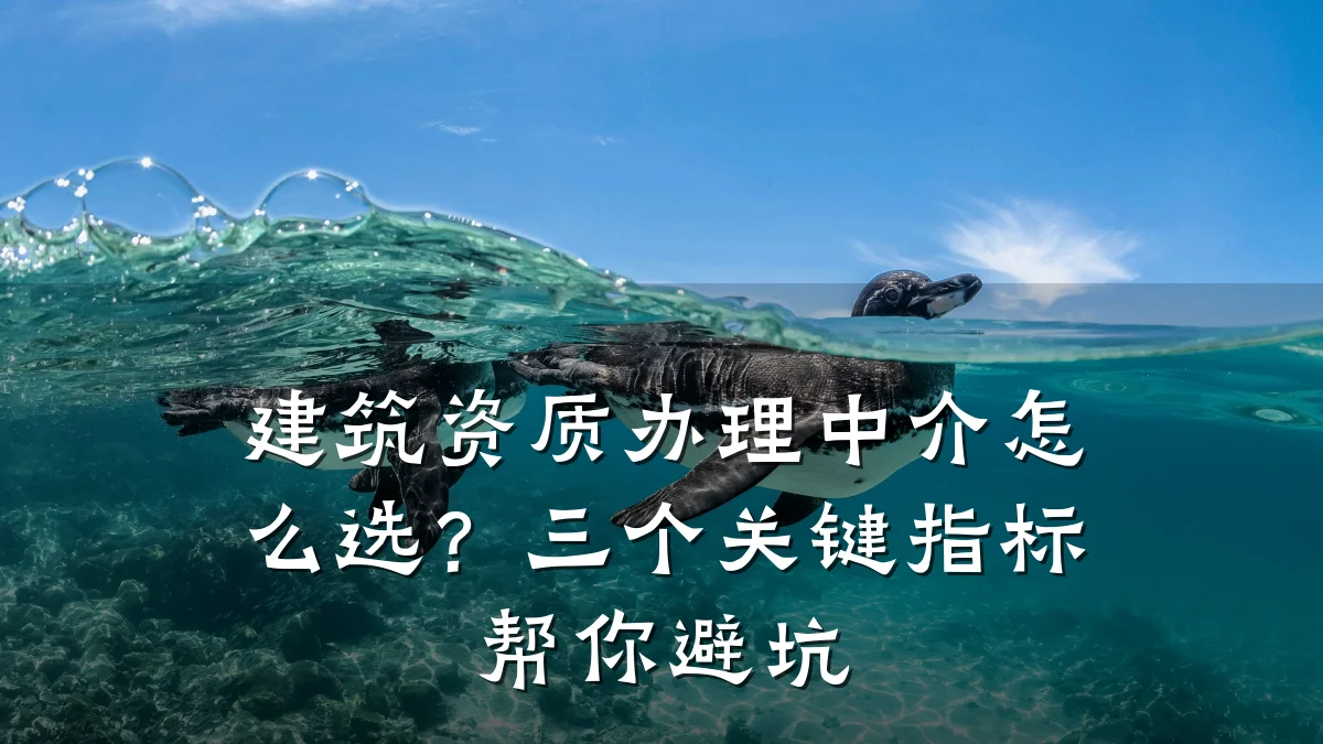 建筑资质办理中介怎么选?三个关键指标帮你避坑