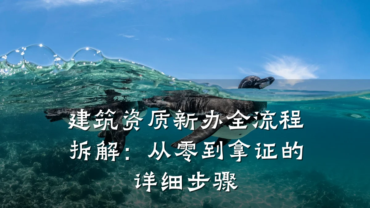 建筑资质新办全流程拆解：从零到拿证的详细步骤