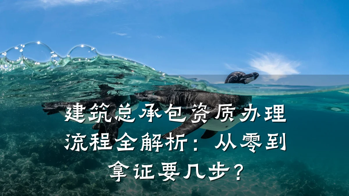 建筑总承包资质办理流程全解析:从零到拿证要几步?