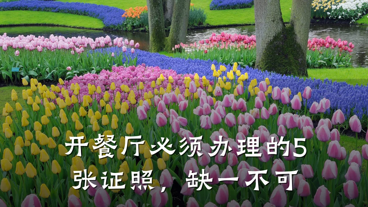 开餐厅必须办理的5张证照，缺一不可