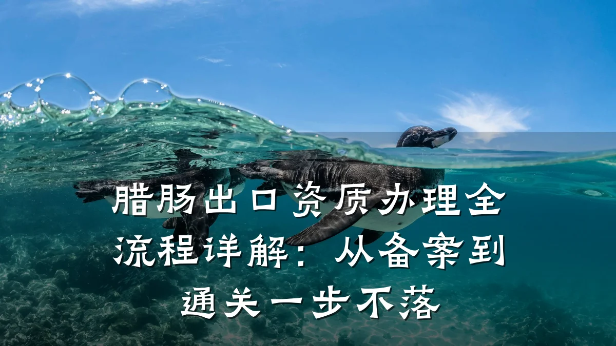腊肠出口资质办理全流程详解：从备案到通关一步不落
