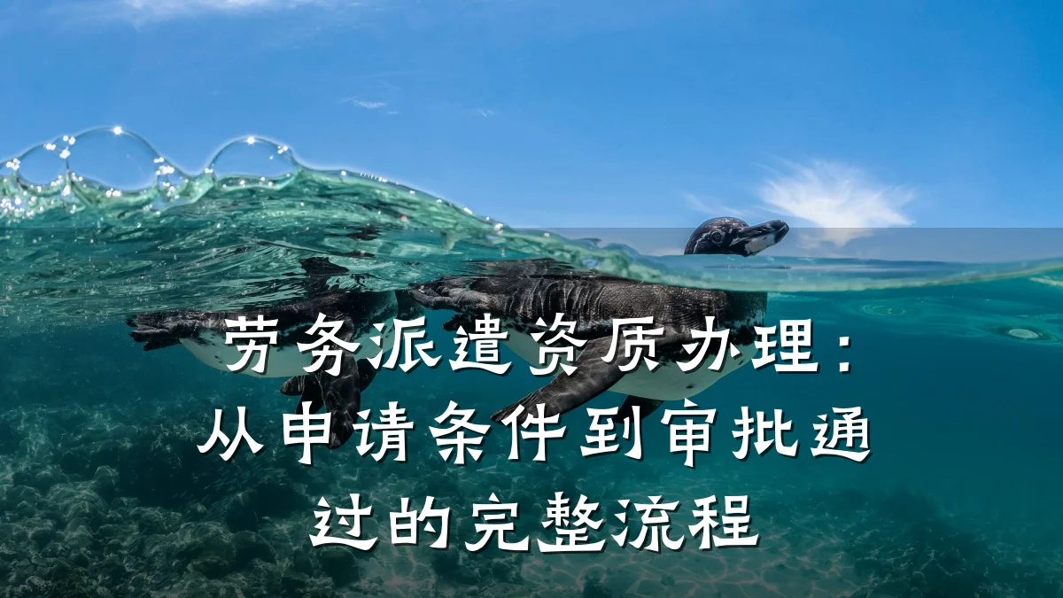 劳务派遣资质办理:从申请条件到审批通过的完整流程