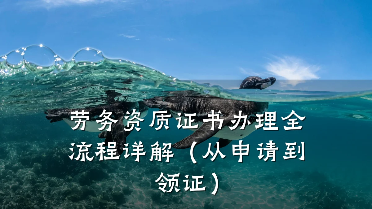 劳务资质证书办理全流程详解（从申请到领证）