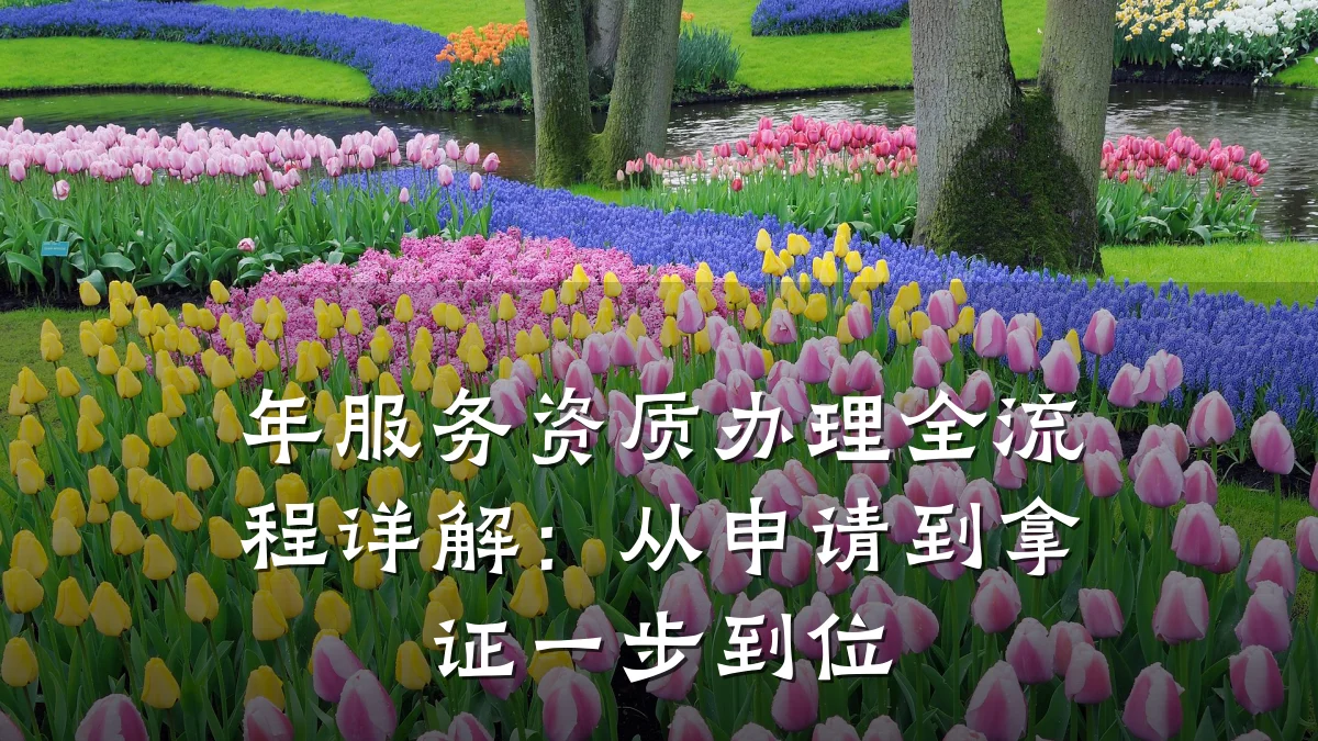 年服务资质办理全流程详解：从申请到拿证一步到位