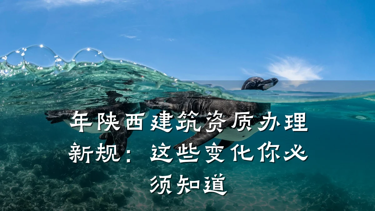 年陕西建筑资质办理新规:这些变化你必须知道