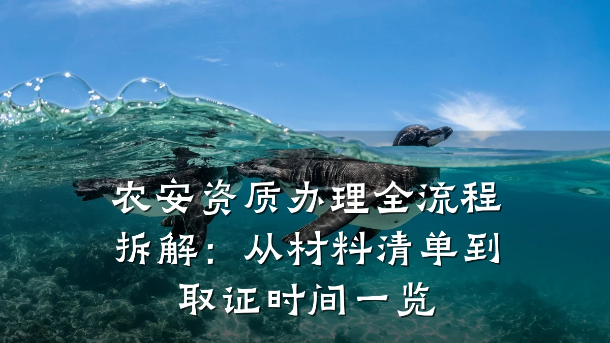 农安资质办理全流程拆解：从材料清单到取证时间一览