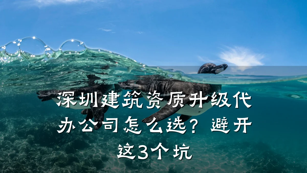 深圳建筑资质升级代办公司怎么选？避开这3个坑