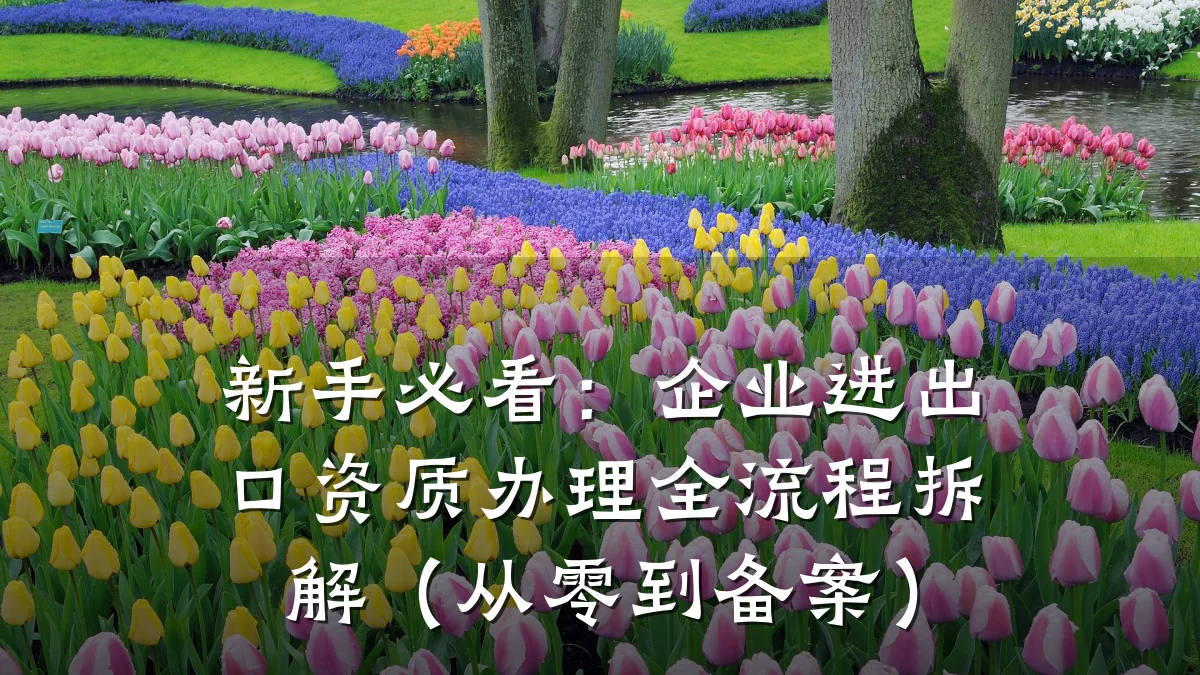 新手必看：企业进出口资质办理全流程拆解（从零到备案）