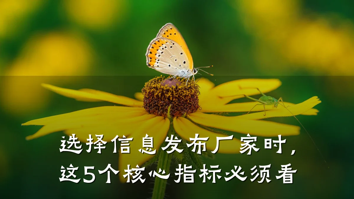 选择信息发布厂家时,这5个核心指标必须看