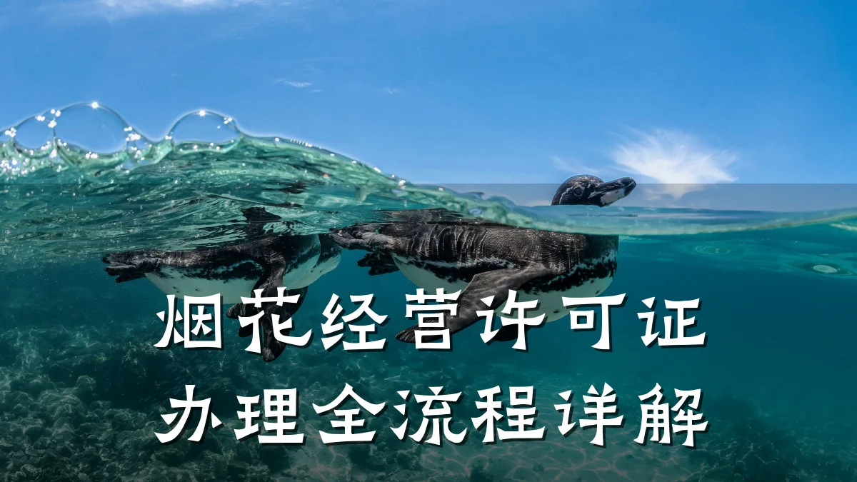 烟花经营许可证办理全流程详解