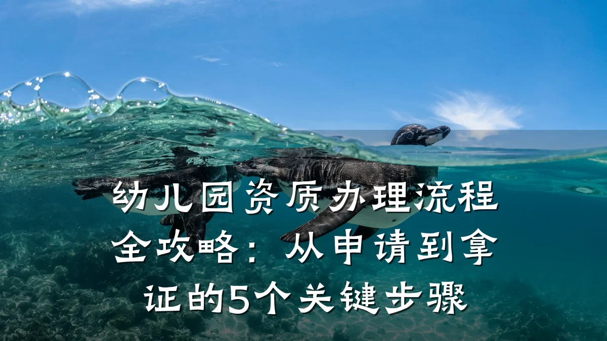 幼儿园资质办理流程全攻略：从申请到拿证的5个关键步骤
