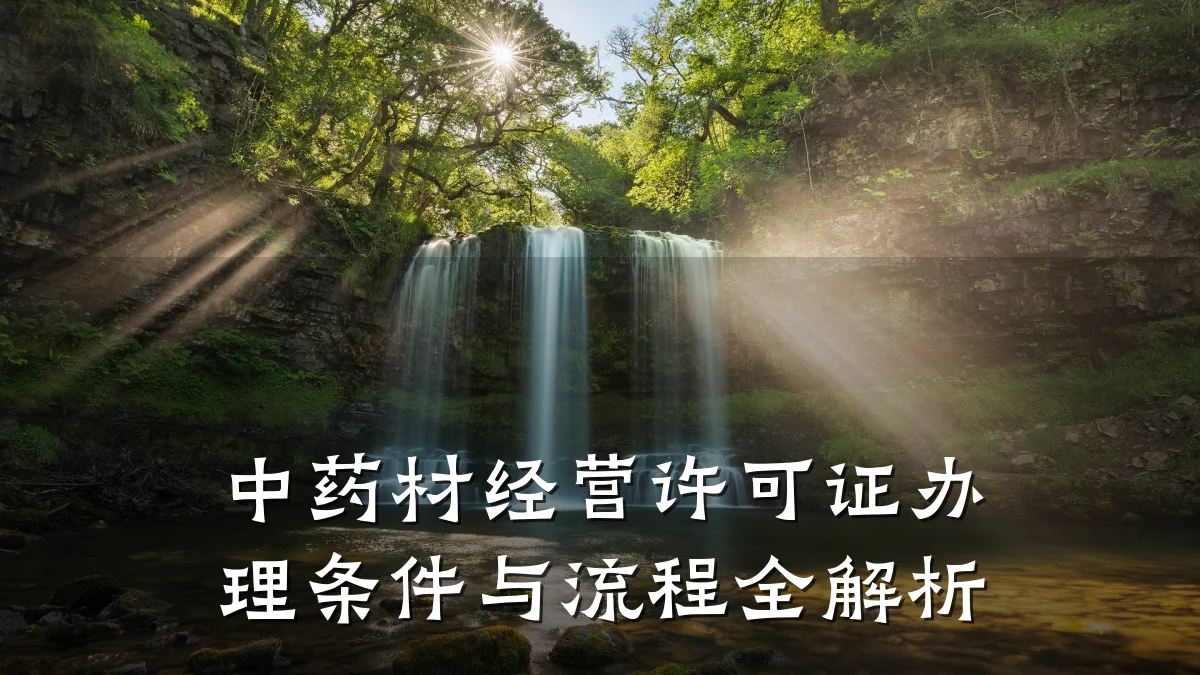 中药材经营许可证办理条件与流程全解析