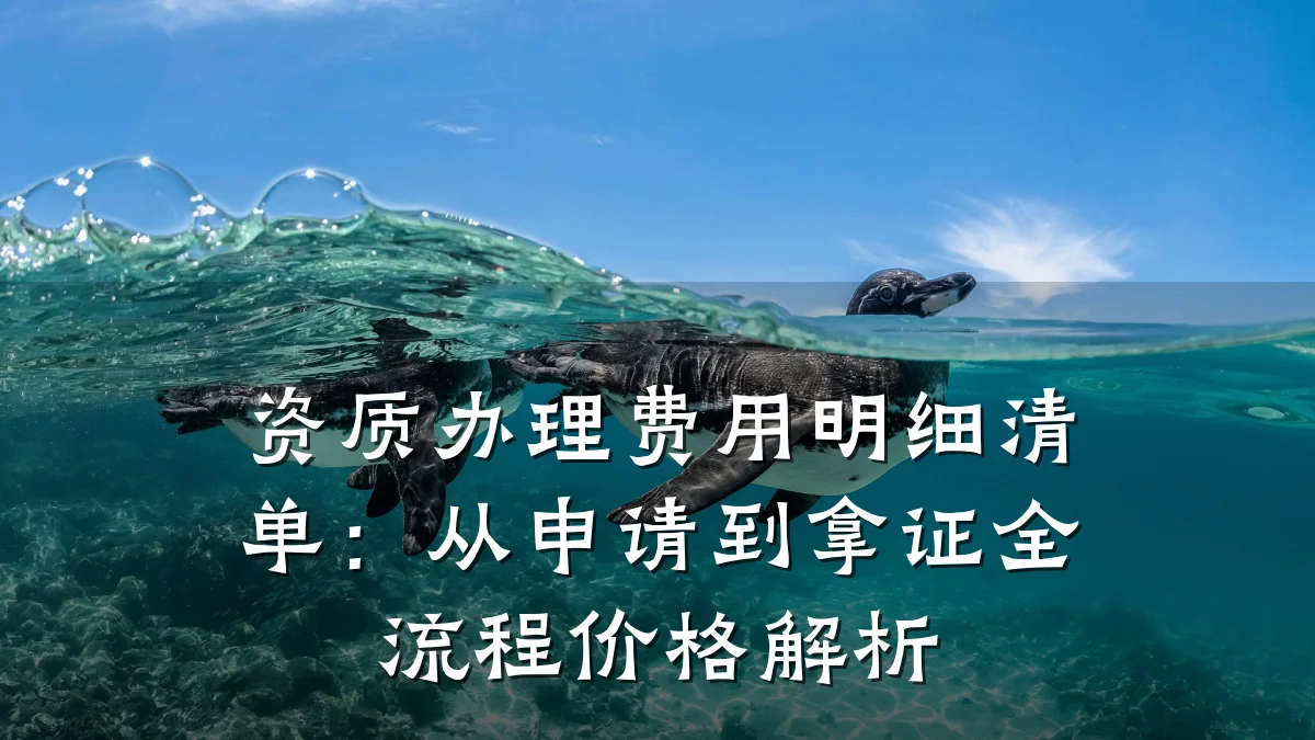 资质办理费用明细清单：从申请到拿证全流程价格解析