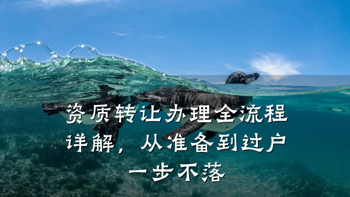 资质转让办理全流程详解，从准备到过户一步不落