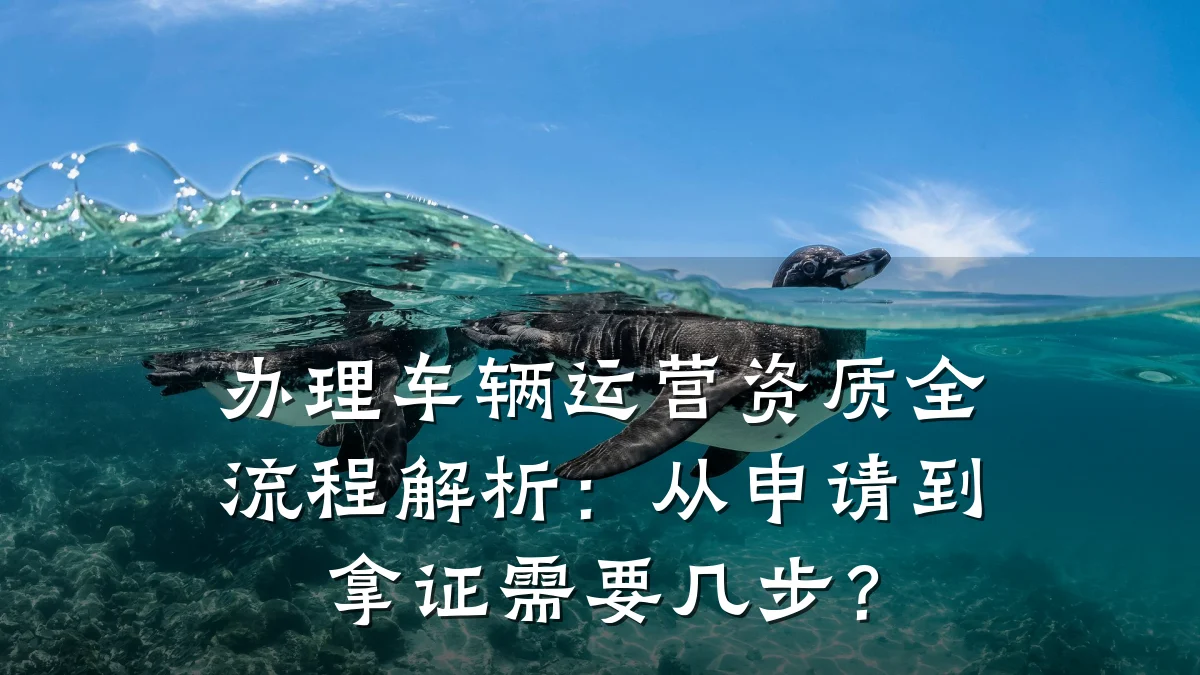 办理车辆运营资质全流程解析：从申请到拿证需要几步？