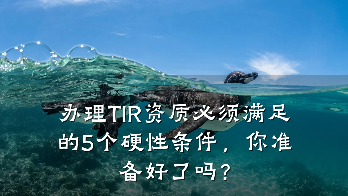 办理TIR资质必须满足的5个硬性条件，你准备好了吗？