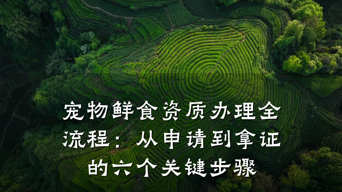 宠物鲜食资质办理全流程：从申请到拿证的六个关键步骤