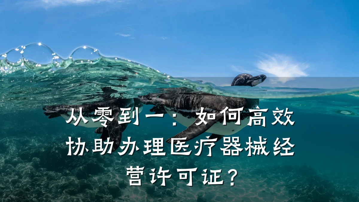 从零到一：如何高效协助办理医疗器械经营许可证？