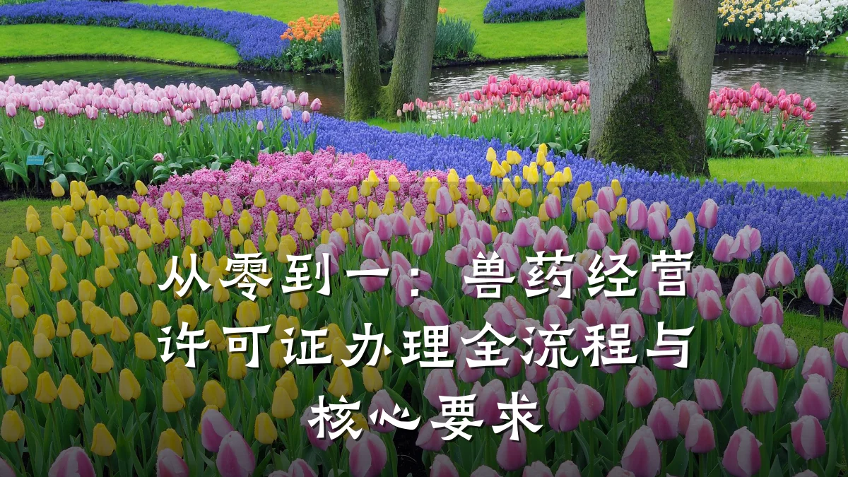 从零到一：兽药经营许可证办理全流程与核心要求