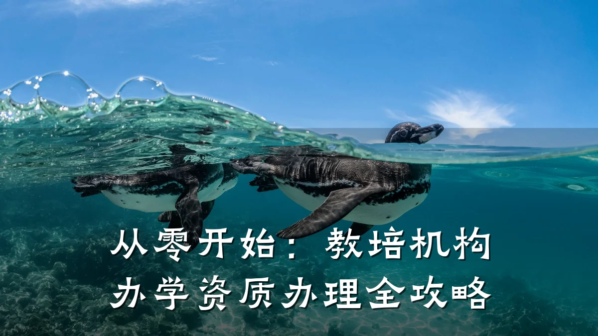 从零开始：教培机构办学资质办理全攻略