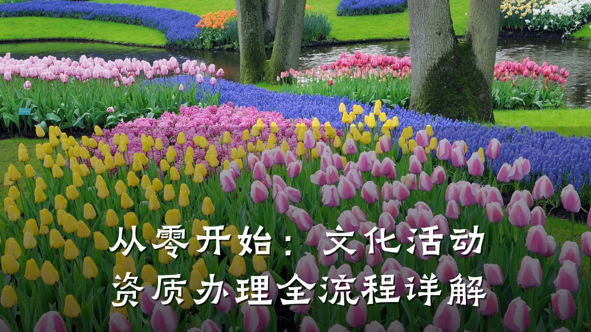 从零开始：文化活动资质办理全流程详解