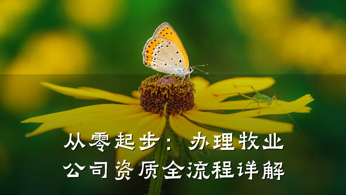 从零起步：办理牧业公司资质全流程详解