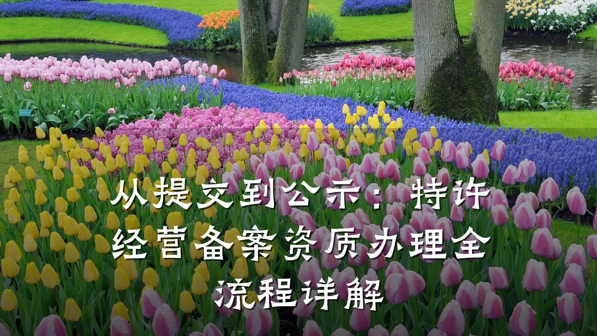从提交到公示:特许经营备案资质办理全流程详解