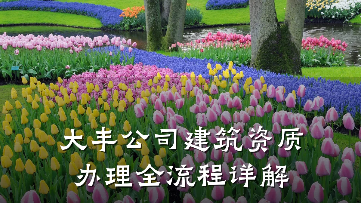 大丰公司建筑资质办理全流程详解